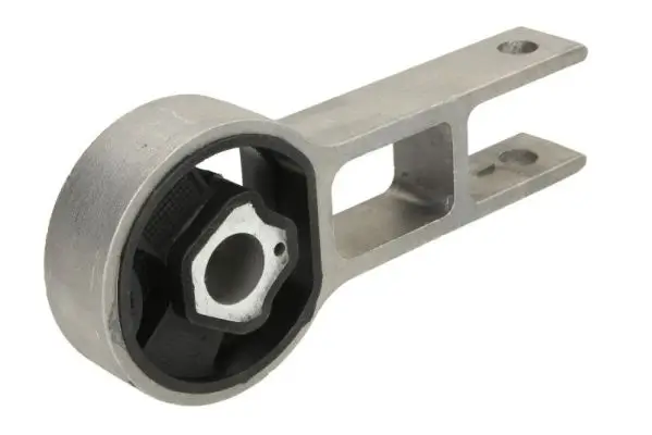 Lagerung, Motor hinten REINHOCH RH11-1023