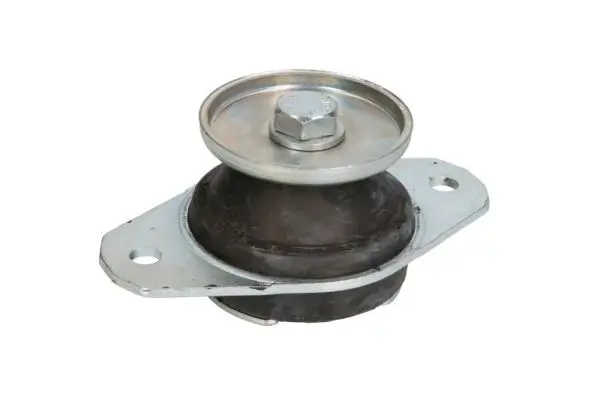 Lagerung, Motor vorne REINHOCH RH11-1049