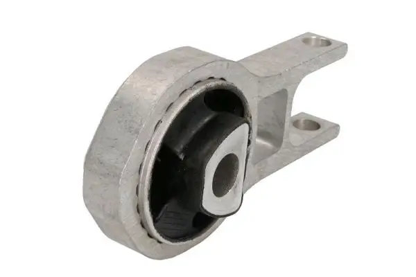 Lagerung, Motor hinten REINHOCH RH11-1075