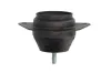 Lagerung, Motor rechts REINHOCH RH11-2020 Bild Lagerung, Motor rechts REINHOCH RH11-2020