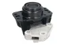 Lagerung, Motor rechts REINHOCH RH11-2099 Bild Lagerung, Motor rechts REINHOCH RH11-2099