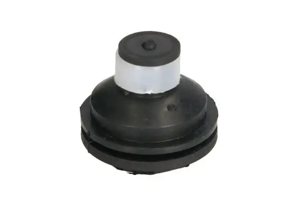 Lagerung, Motor vorne REINHOCH RH11-2109