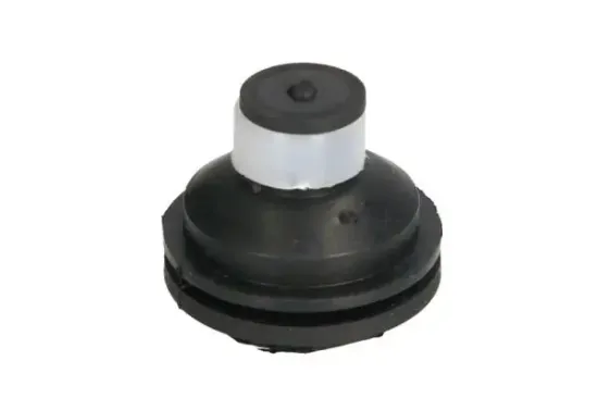 Lagerung, Motor vorne REINHOCH RH11-2109 Bild Lagerung, Motor vorne REINHOCH RH11-2109