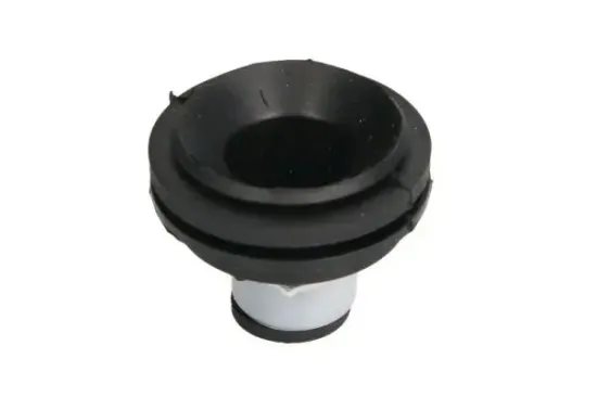 Lagerung, Motor vorne REINHOCH RH11-2109 Bild Lagerung, Motor vorne REINHOCH RH11-2109