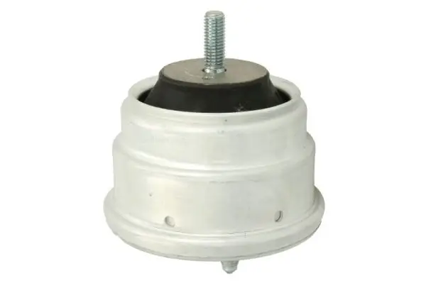 Lagerung, Motor rechts REINHOCH RH11-3022