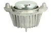 Lagerung, Motor vorne rechts REINHOCH RH11-3034 Bild Lagerung, Motor vorne rechts REINHOCH RH11-3034