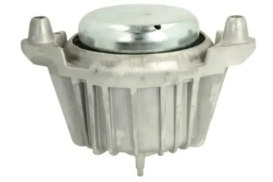 Lagerung, Motor vorne rechts REINHOCH RH11-3034 Bild Lagerung, Motor vorne rechts REINHOCH RH11-3034
