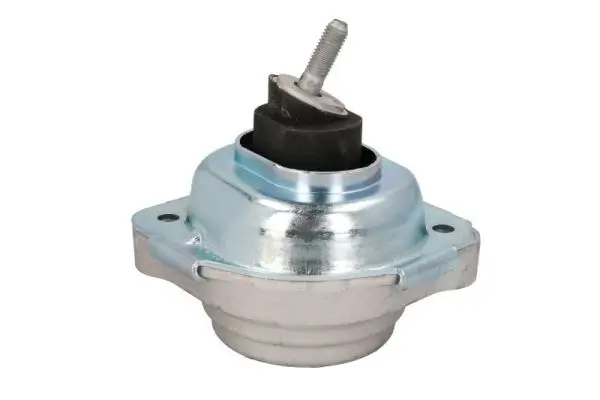 Lagerung, Motor vorne rechts REINHOCH RH11-3064