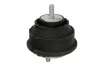 Lagerung, Motor vorne beidseitig REINHOCH RH11-3076 Bild Lagerung, Motor vorne beidseitig REINHOCH RH11-3076