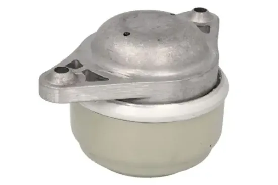 Lagerung, Motor links vorne rechts REINHOCH RH11-3098 Bild Lagerung, Motor links vorne rechts REINHOCH RH11-3098