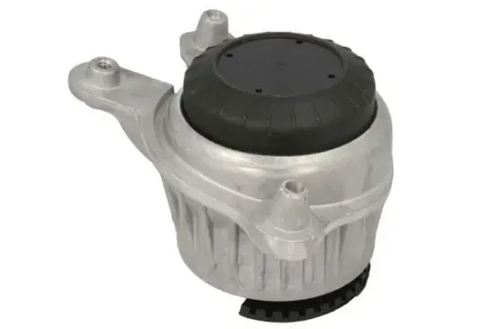 Lagerung, Motor rechts REINHOCH RH11-3100 Bild Lagerung, Motor rechts REINHOCH RH11-3100