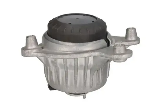 Lagerung, Motor links REINHOCH RH11-3105 Bild Lagerung, Motor links REINHOCH RH11-3105