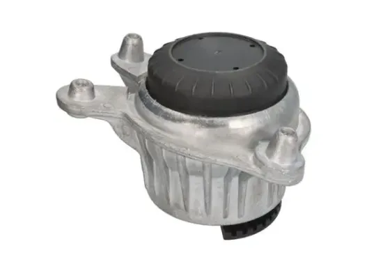 Lagerung, Motor hinten REINHOCH RH11-4006 Bild Lagerung, Motor hinten REINHOCH RH11-4006