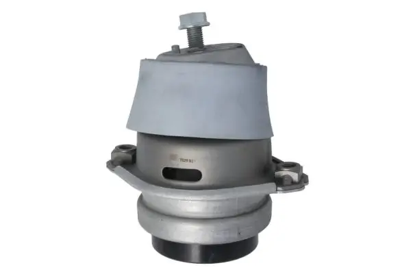 Lagerung, Motor links REINHOCH RH11-3147