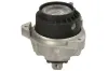 Lagerung, Motor rechts REINHOCH RH11-3167 Bild Lagerung, Motor rechts REINHOCH RH11-3167