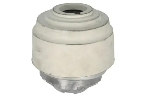 Lagerung, Motor links REINHOCH RH11-4042 Bild Lagerung, Motor links REINHOCH RH11-4042