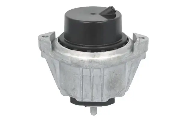 Lagerung, Motor links rechts vorne REINHOCH RH11-3173