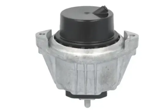 Lagerung, Motor links rechts vorne REINHOCH RH11-3173 Bild Lagerung, Motor links rechts vorne REINHOCH RH11-3173