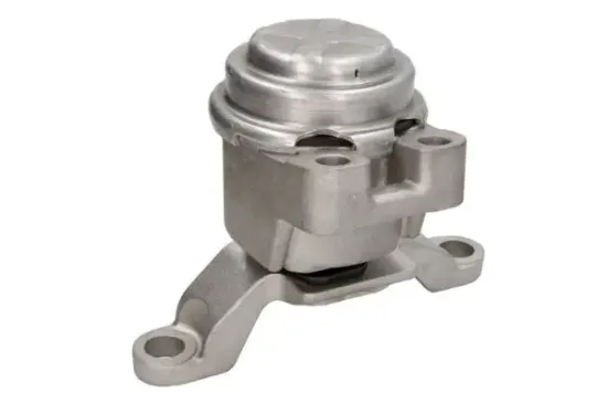 Lagerung, Motor rechts REINHOCH RH11-4061 Bild Lagerung, Motor rechts REINHOCH RH11-4061