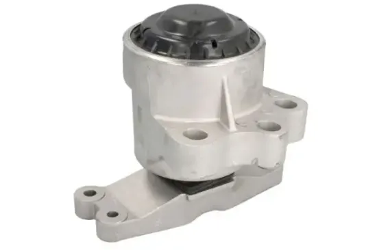 Lagerung, Motor rechts Vorderachse REINHOCH RH11-4077 Bild Lagerung, Motor rechts Vorderachse REINHOCH RH11-4077