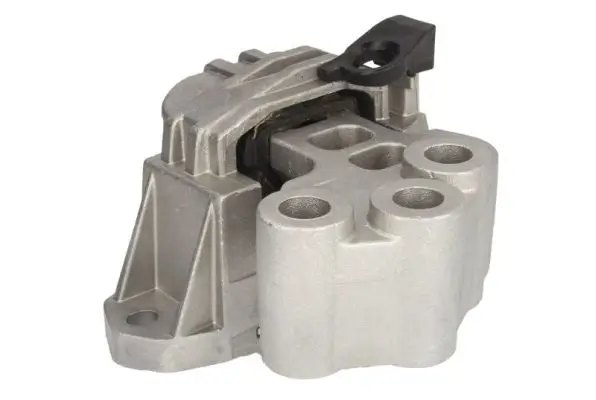 Lagerung, Motor rechts REINHOCH RH11-6042