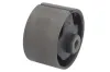 Lagerung, Schaltgetriebe hinten REINHOCH RH12-0024
