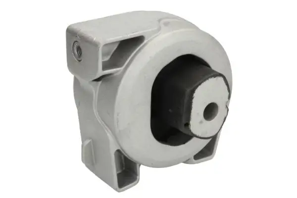 Lagerung, Motor links hinten REINHOCH RH12-3002