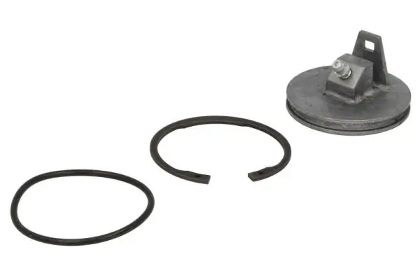 Reparatursatz, Achsschenkelbolzen REINHOCH RH60-3002