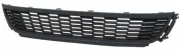 Lüftungsgitter, Stoßfänger vorne MTR 10580251
