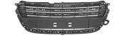 Kühlergitter Mitte MTR 11036583