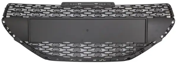 Kühlergitter MTR 11539986