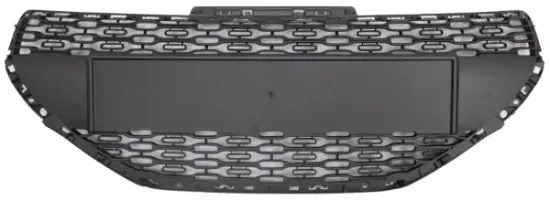 Kühlergitter MTR 11539986 Bild Kühlergitter MTR 11539986