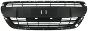 Kühlergitter MTR 11751140