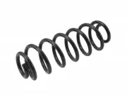 Fahrwerksfeder Hinterachse MTR 12108669