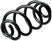 Fahrwerksfeder Hinterachse MTR 12108679