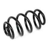 Fahrwerksfeder Hinterachse MTR 12108693