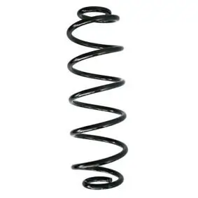 Fahrwerksfeder Hinterachse MTR 12108724