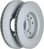 Bremsscheibe Hinterachse MTR 12135412