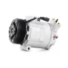 Kompressor, Klimaanlage MTR 12161874