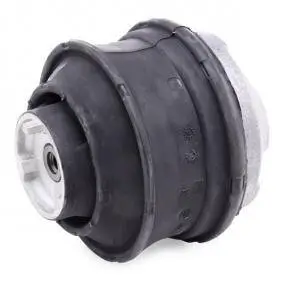 Lagerung, Motor vorne beidseitig MTR 12162890