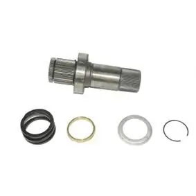 Kappe, Stoßdämpferlagerung (Fahrerhaus) rechts MTR 12164051