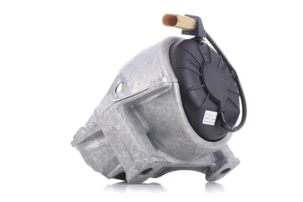 Lagerung, Motor vorne links MTR 12166280