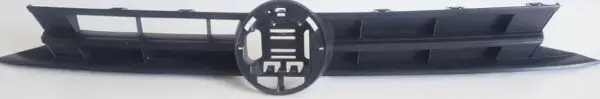 Kühlergitter MTR 12168079