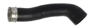 Ladeluftschlauch MTR 12170570