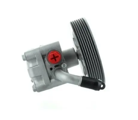 Hydraulikpumpe, Lenkung MTR 12176302