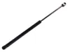 Gasfeder, Motorhaube links MTR 12220669