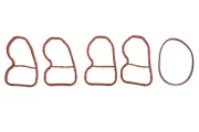 Dichtungssatz, Ansaugkrümmer MTR 13310367