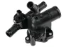 Thermostat, K&uuml;hlmittel MTR 13310506