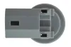 Lampenträger, Kennzeichenleuchte MTR 13311359 Bild Lampenträger, Kennzeichenleuchte MTR 13311359