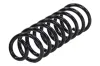 Fahrwerksfeder Hinterachse MTR 13311438